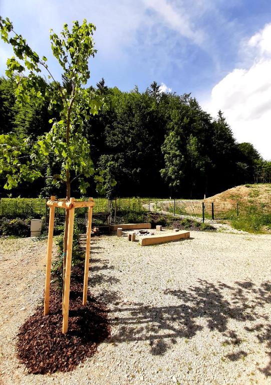 Camping und Chalet Saggraben room 3